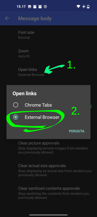 05-external_browser.png